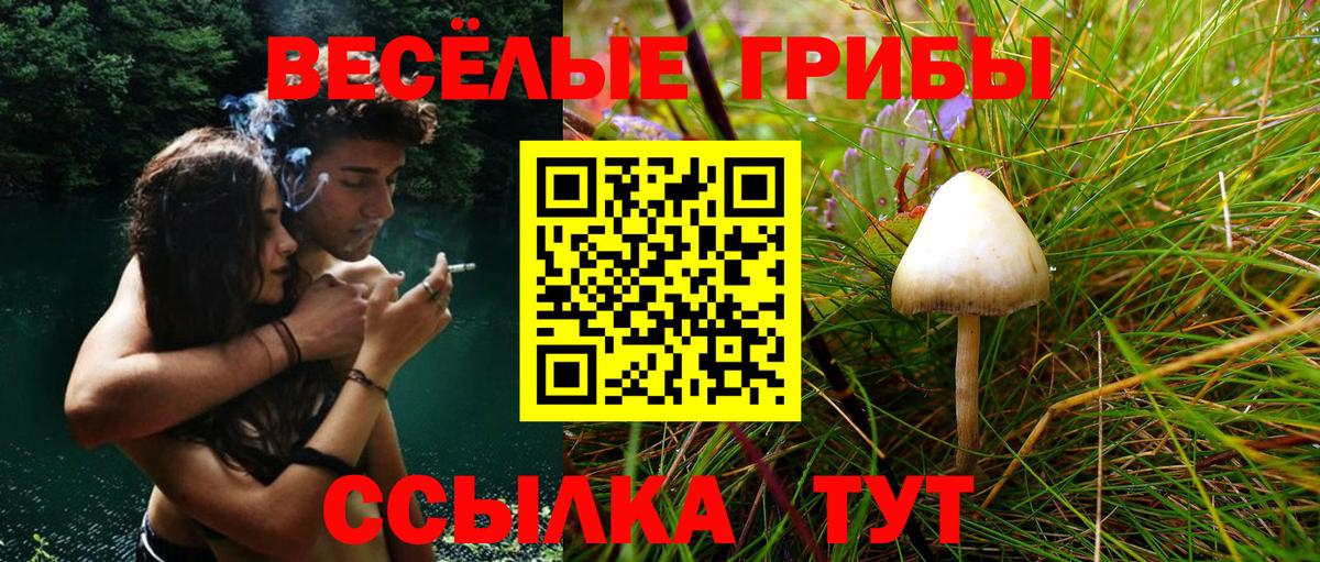 Мефедрон   Марихуана  МДМА  Alpha PVP СК   Свободный  Каннабис  Cocaine  Вход с VPN  Меф МЯУ МЯУ  NBOMe 