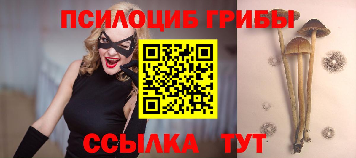 Галлюциногенные грибы мицелий  Вход с VPN  Свободный 